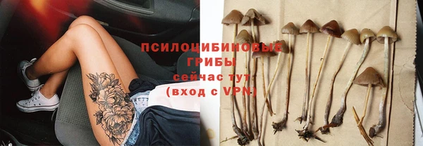 метадон Белокуриха