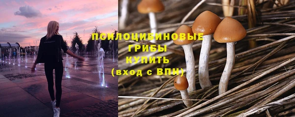 гашиш Беломорск