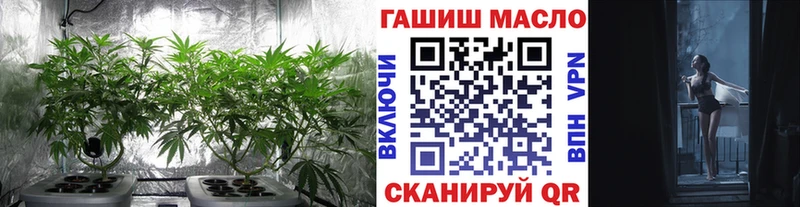 Купить где  Гулькевичи  ТГК концентрат 
