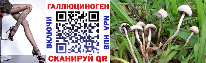 Псилоцибиновые грибы MAGIC MUSHROOMS  Купить где  Гулькевичи 